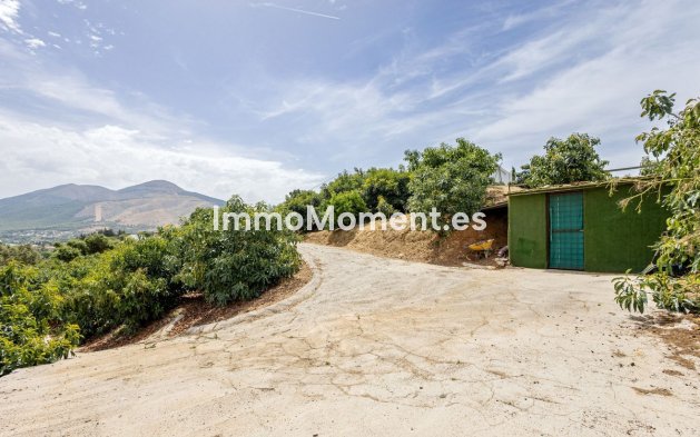 Revente - Maison de campagne - Intérieur                       - Alhaurín el Grande Centro