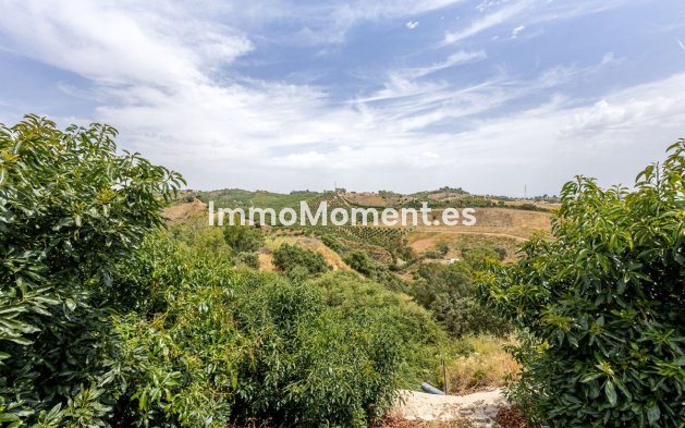 Revente - Maison de campagne - Intérieur                       - Alhaurín el Grande Centro
