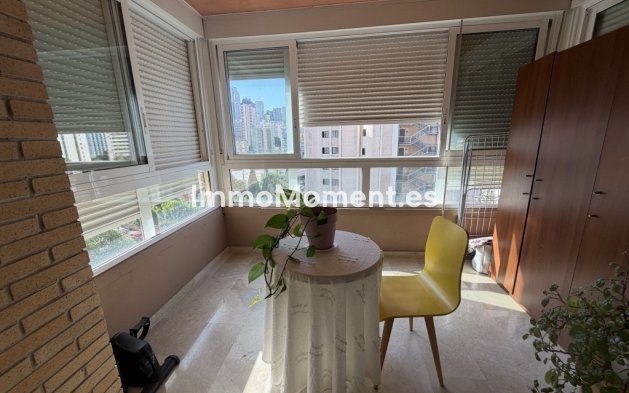 Bestaande woning - Appartement - Benidorm - Benidorm Centro