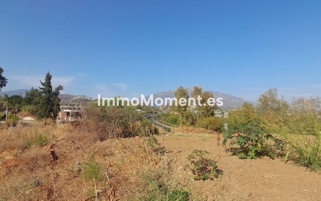 Revente - Parcelle - Benahavís - La Quinta