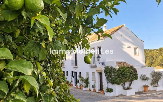 Bestaande woning - Vrijstaande villa - Marbella - Nueva Andalucía