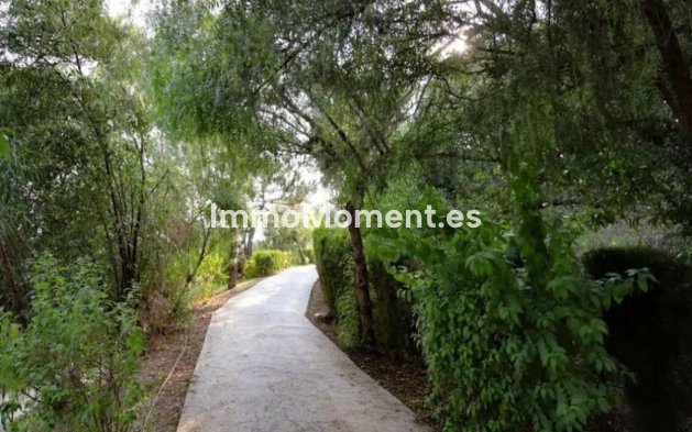 Resale - Detached villa - Estepona - Estepona Centro