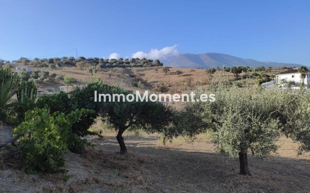 Reventa - Casa de campo - Interior  - Alhaurín el Grande Centro