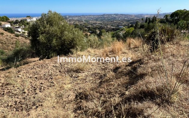 Bestaande woning - Perceel - Mijas - Mijas Centro