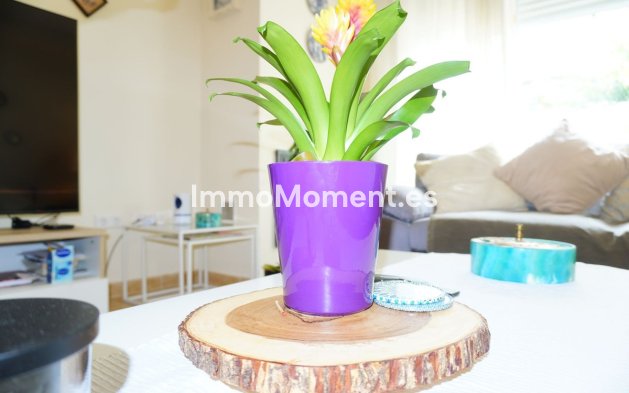 Bestaande woning - Rijtjeshuis - Mijas - Mijas Centro