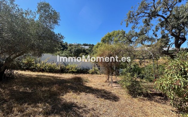 Resale - Detached villa - Marbella - La Mairena