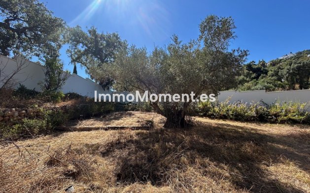Resale - Detached villa - Marbella - La Mairena