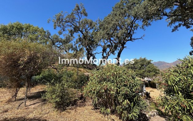 Resale - Detached villa - Marbella - La Mairena
