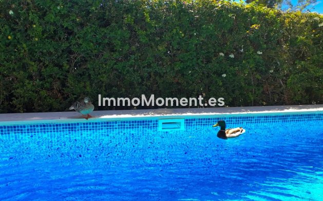 Resale - Detached villa - Estepona - Estepona Centro