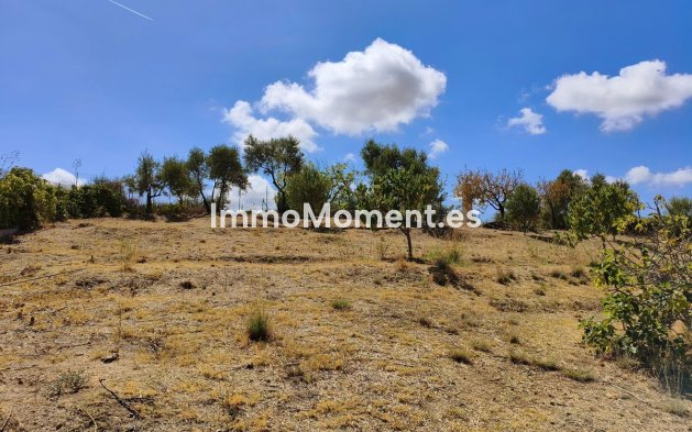 Wiederverkauf - Landhaus - Mijas Costa - La Cala de Mijas