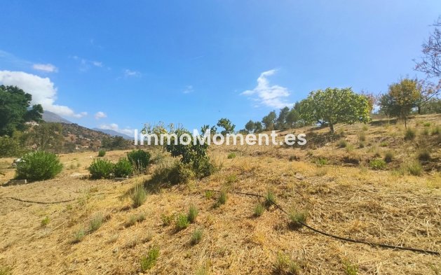 Wiederverkauf - Landhaus - Mijas Costa - La Cala de Mijas