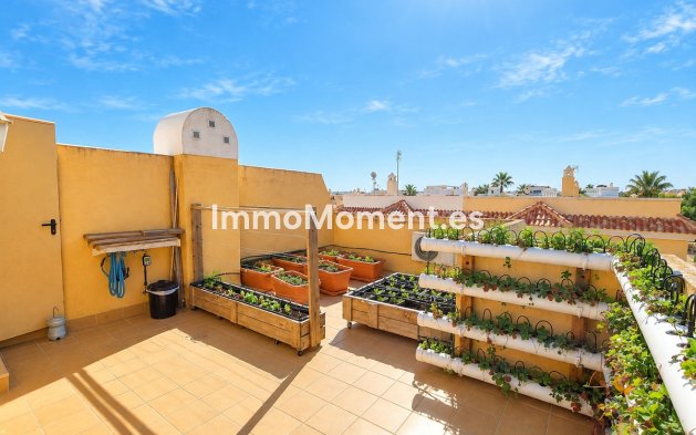 Bestaande woning - Rijtjeshuis - Rojales - Ciudad Quesada
