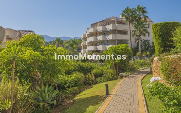 Resale - Apartment - Marbella - Elviria