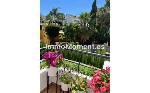 Reventa - Apartamento - Marbella - Nueva Andalucía