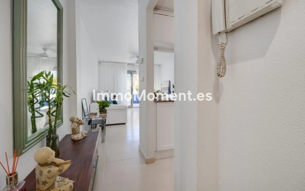 Revente - Appartement - Torrevieja - Torrevieja Centro