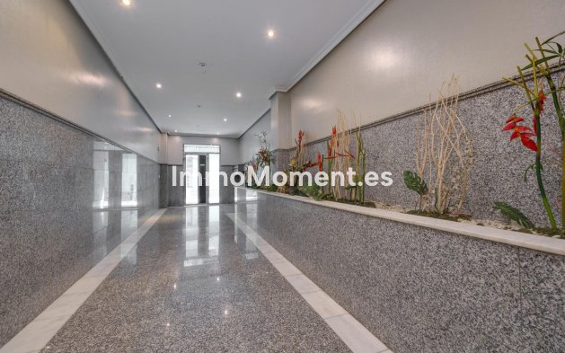 Revente - Appartement - Torrevieja - Torrevieja Centro