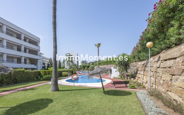 Resale - Apartment - Marbella - Guadalmina Alta