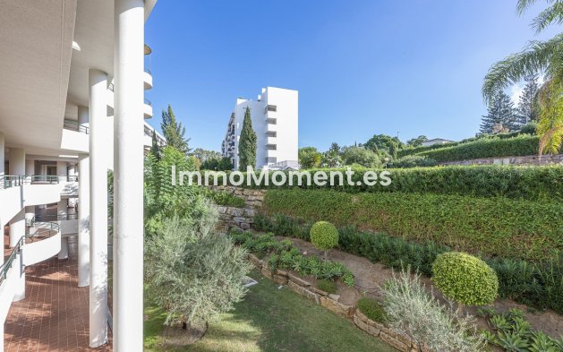 Resale - Apartment - Marbella - Guadalmina Alta