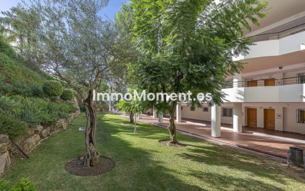 Resale - Apartment - Marbella - Guadalmina Alta