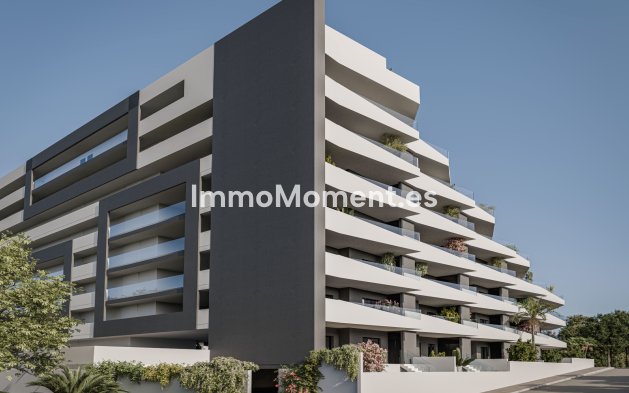 Construction neuve - Appartement - San Miguel de Salinas