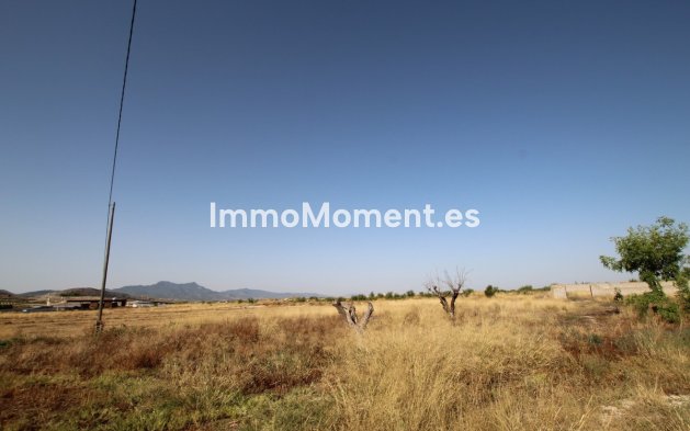Resale - Country house - Jumilla - Torre Del Rico