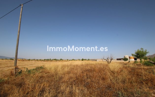 Resale - Country house - Jumilla - Torre Del Rico