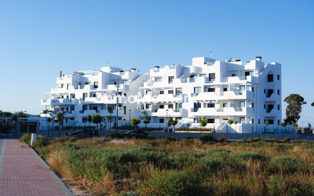 Neubau - Ground-floor - Santa Rosalía