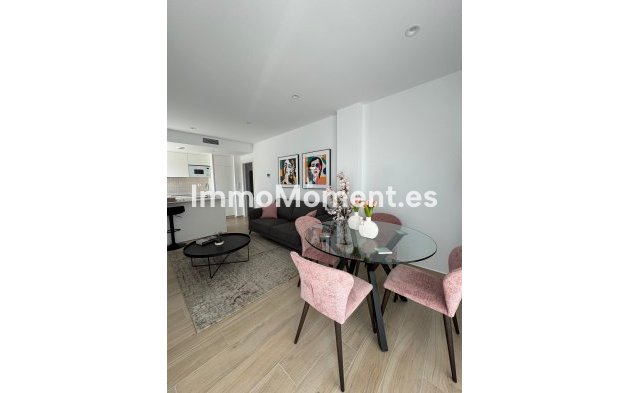 Neubau - Ground-floor - Santa Rosalía