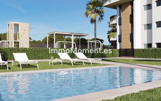 Construction neuve - Appartement - Santa Rosalía