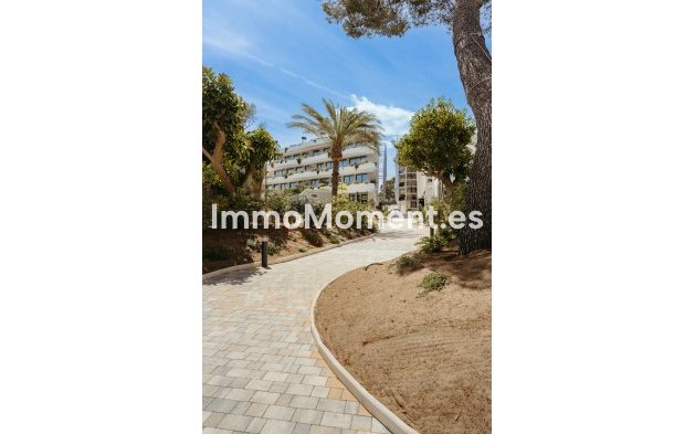 Construction neuve - Appartement - Alfaz del Pi