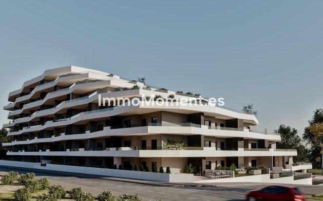 Neubau - Wohnung - San Miguel de Salinas