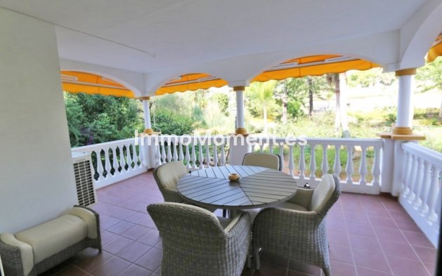 Short Term Rentals - Apartment - Marbella - Nueva Andalucía