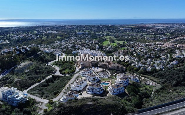 Construction neuve - Penthouse - Marbella