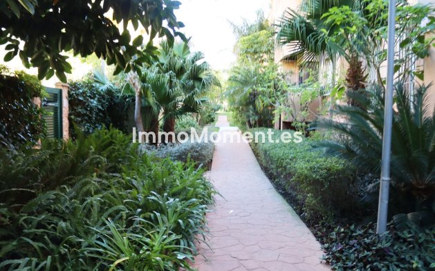 Location de courte durée - Appartement - Marbella - Carib Playa