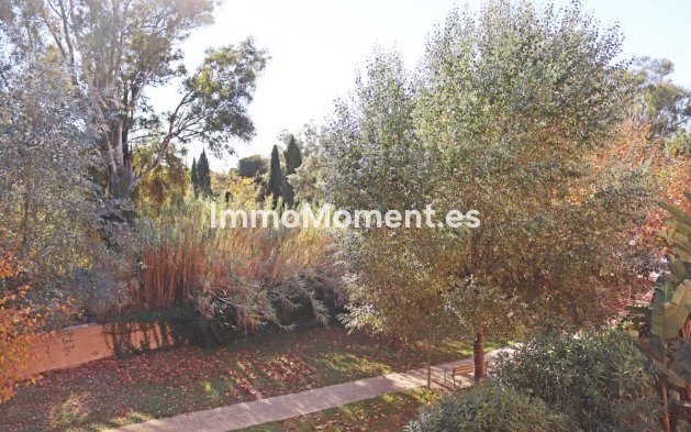 Location de courte durée - Appartement - Marbella - Carib Playa