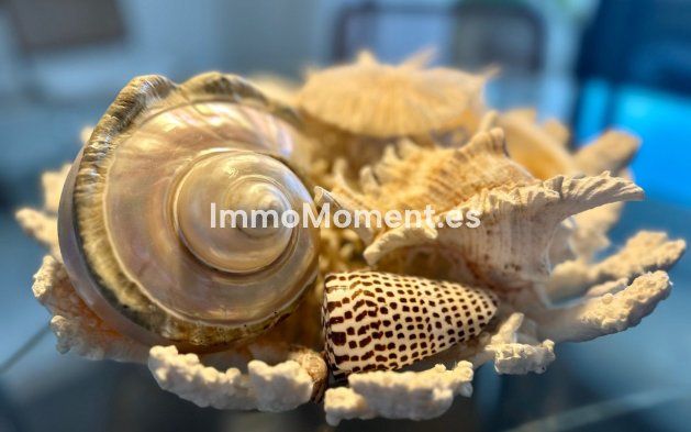 Langzeitvermietung - Wohnung - Marbella - Puerto Banús