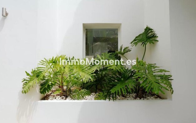 Kurzzeitvermietung - Freistehende Villa - Marbella - Guadalmina Alta