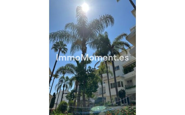 Langzeitvermietung - Wohnung - Marbella - Guadalmina Baja