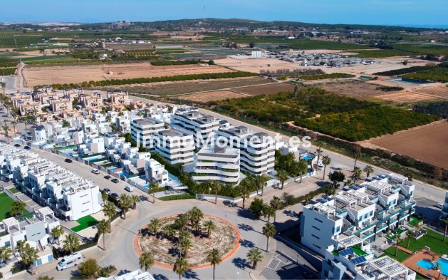 Construction neuve - Terraced - Guardamar del Segura