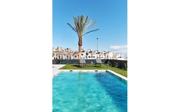 Neubau - Freistehende Villa - San Miguel de Salinas