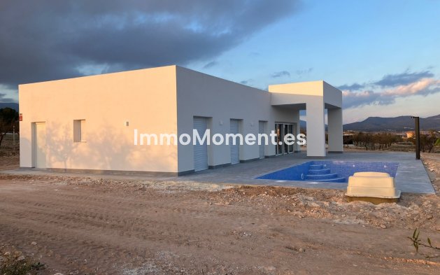 Neubau - Freistehende Villa - Pinoso