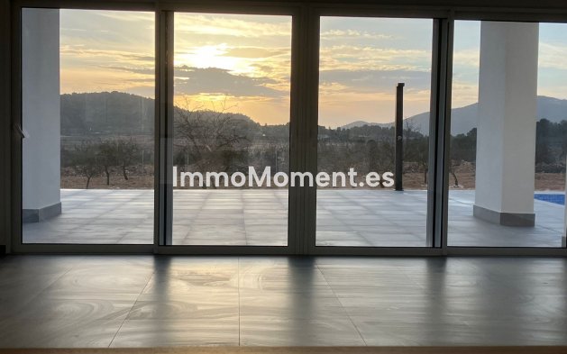 Neubau - Freistehende Villa - Pinoso