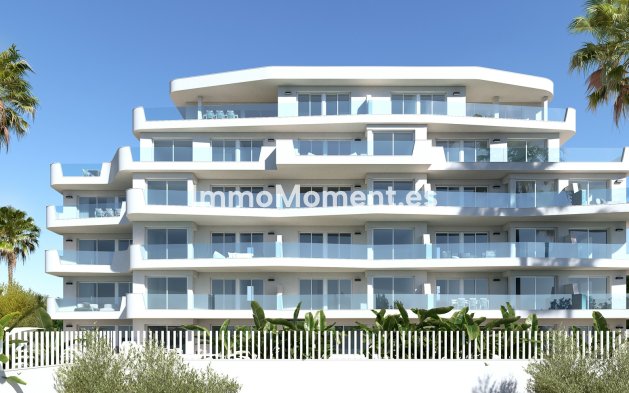 Obra nueva - Apartamento - Torre de la Horadada