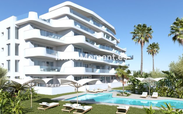 Obra nueva - Apartamento - Torre de la Horadada