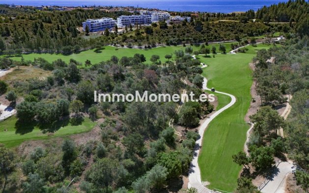 Construction neuve - Penthouse - Fuengirola