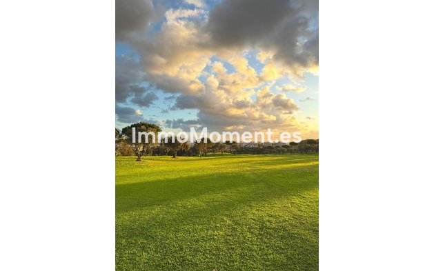 Construction neuve - Penthouse - Fuengirola