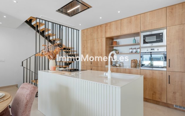 Construction neuve - Terraced - Dolores