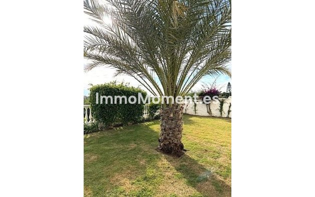 Location de courte durée - Villa individuelle - Estepona  - New Golden Mile