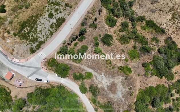 Revente - Terrain - Estepona  - Estepona Centro