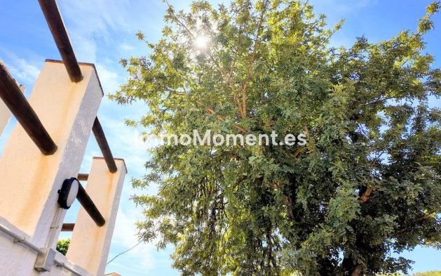 Reventa - Casa de campo - Interior  - Almogía